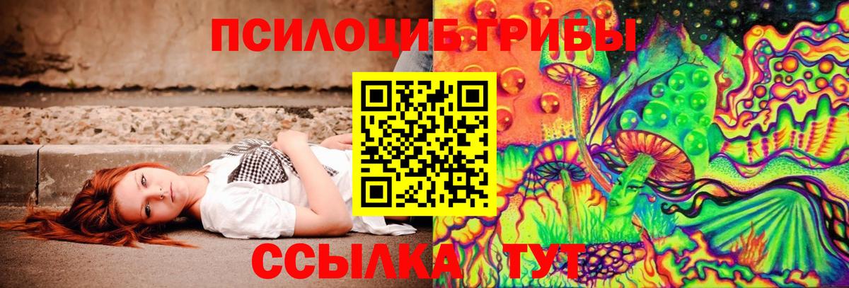 Псилоцибиновые грибы MAGIC MUSHROOMS  Вход с VPN  Саров 